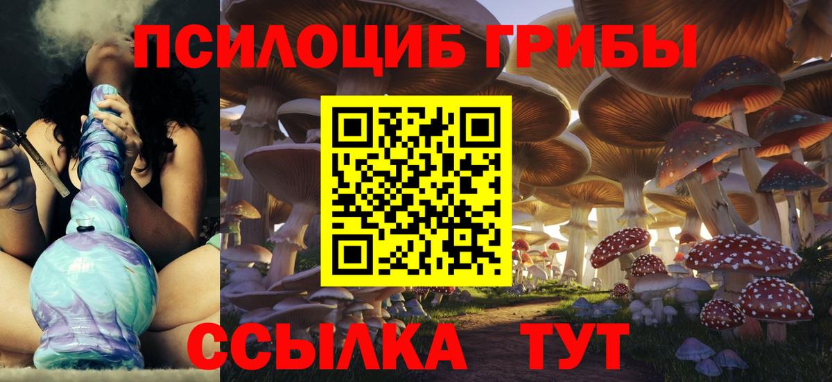 Борисоглебск  Псилоцибиновые грибы Psilocybe  Вход с VPN  Псилоцибиновые грибы Cubensis 